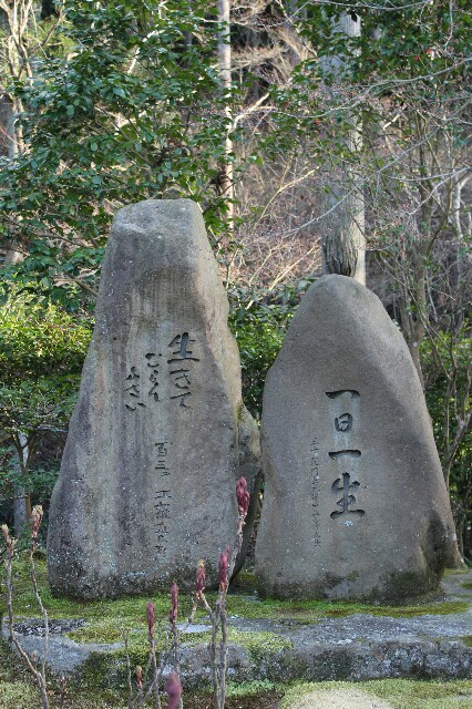 f:id:keikam:20160323125037j:image f:id:keikam:20160323125037j:image