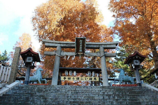 f:id:keikam:20161211180702j:image