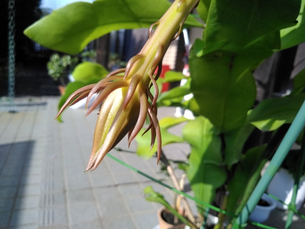 f:id:keiko-blog:20170930085911j:plain f:id:keiko-blog:20170930085911j:plain