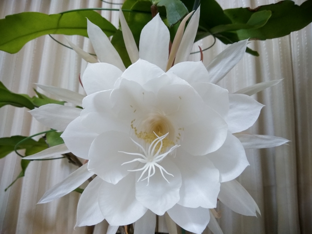 f:id:keiko-blog:20170930110005j:plain f:id:keiko-blog:20170930110005j:plain