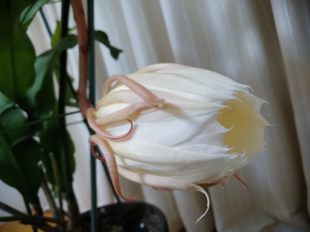 f:id:keiko-blog:20170930110553j:plain f:id:keiko-blog:20170930110553j:plain