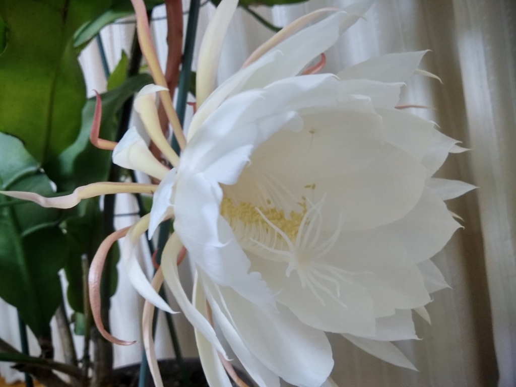 f:id:keiko-blog:20170930112244j:plain f:id:keiko-blog:20170930112244j:plain