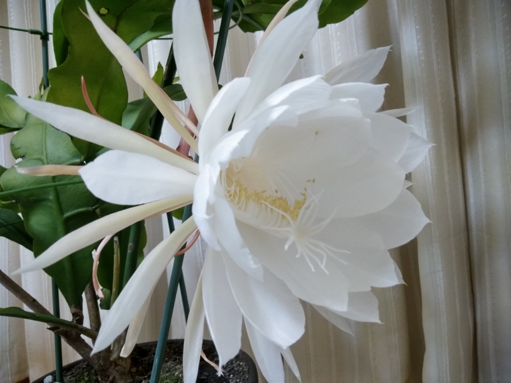 f:id:keiko-blog:20170930112440j:plain f:id:keiko-blog:20170930112440j:plain