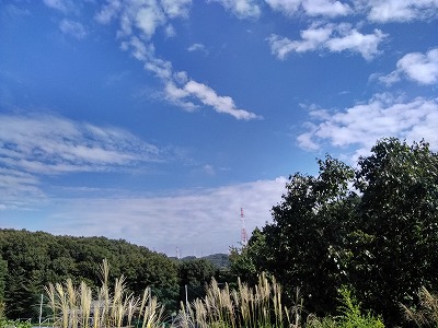 f:id:keiko-blog:20171020125857j:plain f:id:keiko-blog:20171020125857j:plain