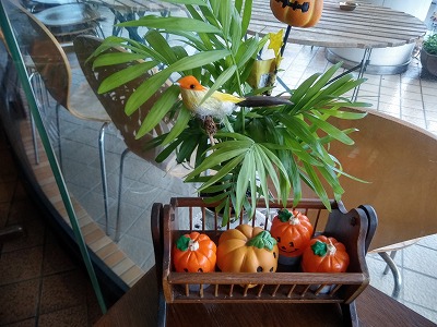 f:id:keiko-blog:20171022132950j:plain f:id:keiko-blog:20171022132950j:plain