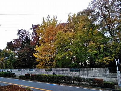 f:id:keiko-blog:20171121155859j:plain f:id:keiko-blog:20171121155859j:plain