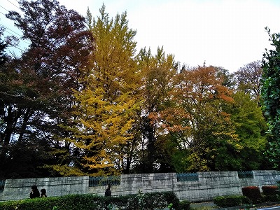 f:id:keiko-blog:20171121155926j:plain f:id:keiko-blog:20171121155926j:plain