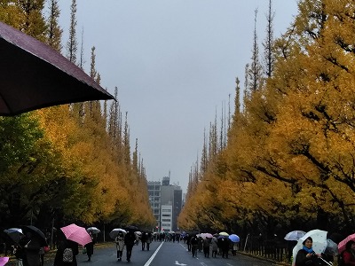 f:id:keiko-blog:20171201105838j:plain f:id:keiko-blog:20171201105838j:plain