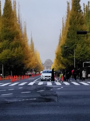 f:id:keiko-blog:20171201111249j:plain f:id:keiko-blog:20171201111249j:plain