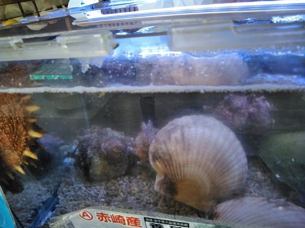 f:id:keiko-blog:20171229154518j:plain f:id:keiko-blog:20171229154518j:plain