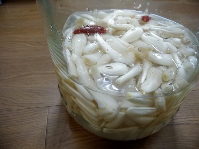 f:id:keiko-blog:20180607151954j:plain f:id:keiko-blog:20180607151954j:plain