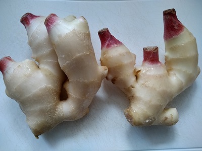 f:id:keiko-blog:20180627130457j:plain f:id:keiko-blog:20180627130457j:plain