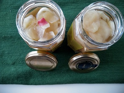 f:id:keiko-blog:20180627131052j:plain f:id:keiko-blog:20180627131052j:plain