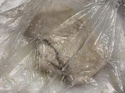 f:id:keiko-blog:20190107084535j:plain f:id:keiko-blog:20190107084535j:plain