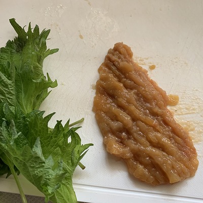 f:id:keiko-blog:20190327204837j:plain f:id:keiko-blog:20190327204837j:plain