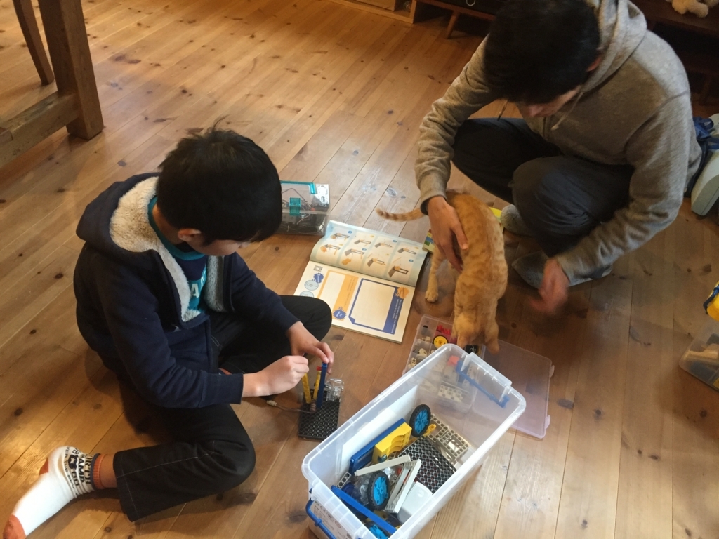 f:id:keiko_gifu:20180124211720j:plain f:id:keiko_gifu:20180124211720j:plain