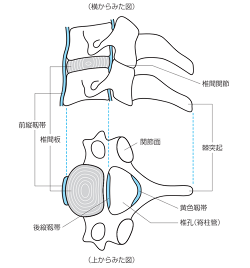 f:id:keikoh2011:20180809074855p:plain f:id:keikoh2011:20180809074855p:plain