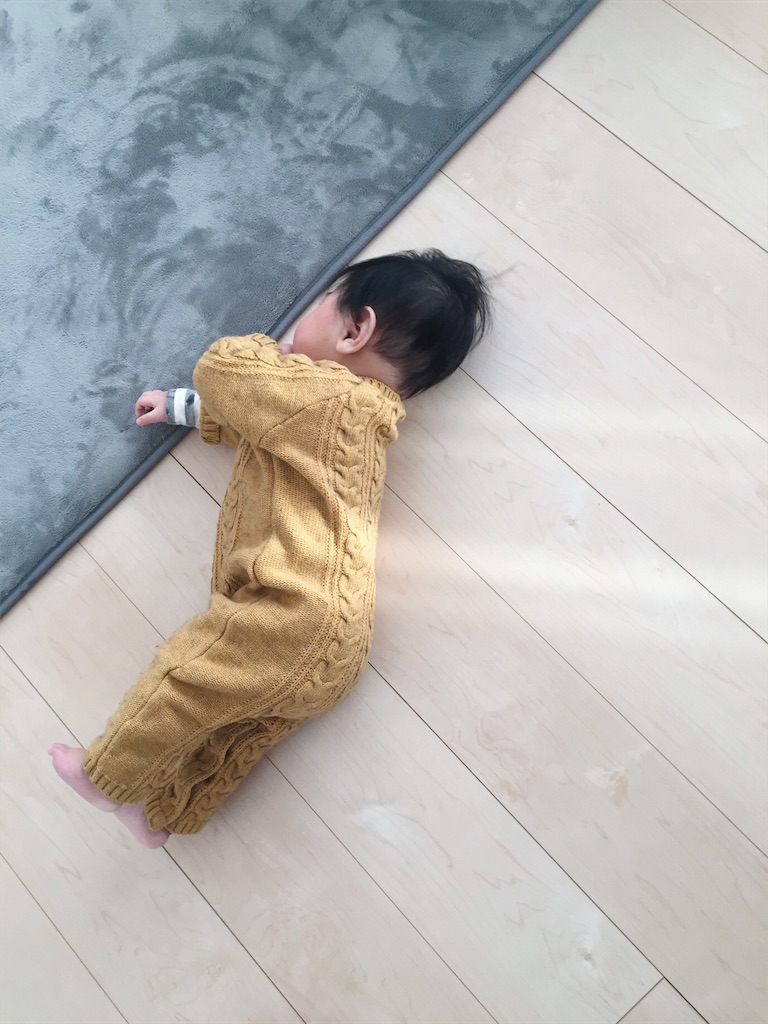 f:id:keikolop:20180620165713j:image