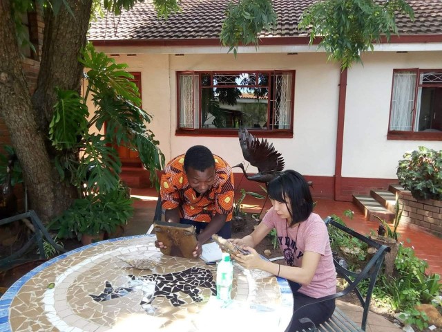 f:id:keikoria:20190308044804j:image f:id:keikoria:20190308044804j:image