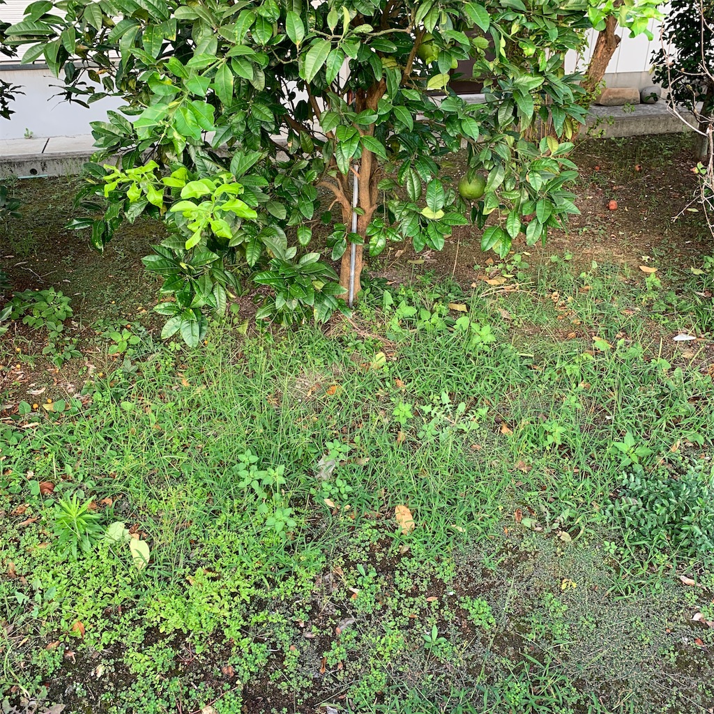 f:id:keikostyle:20190930071009j:image