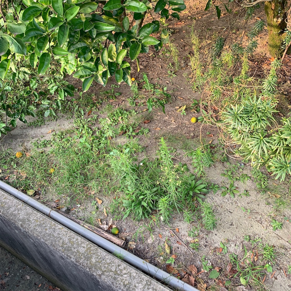 f:id:keikostyle:20190930071034j:image