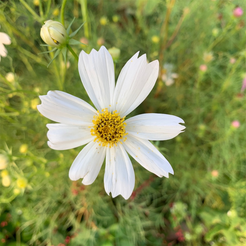 f:id:keikostyle:20190930071254j:image