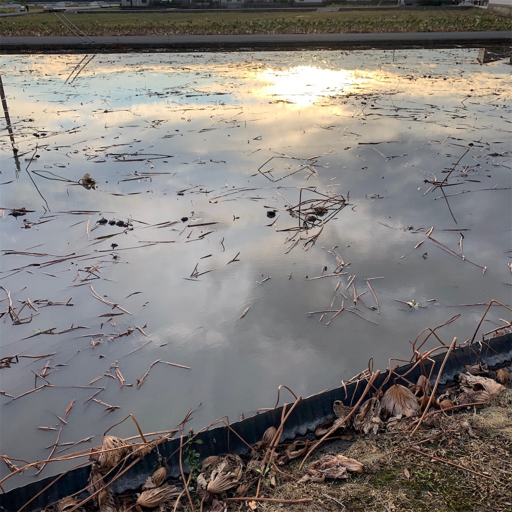 f:id:keikostyle:20191020071422j:image