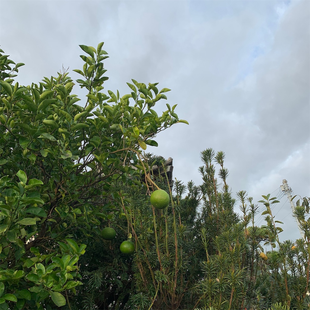 f:id:keikostyle:20191020071425j:image