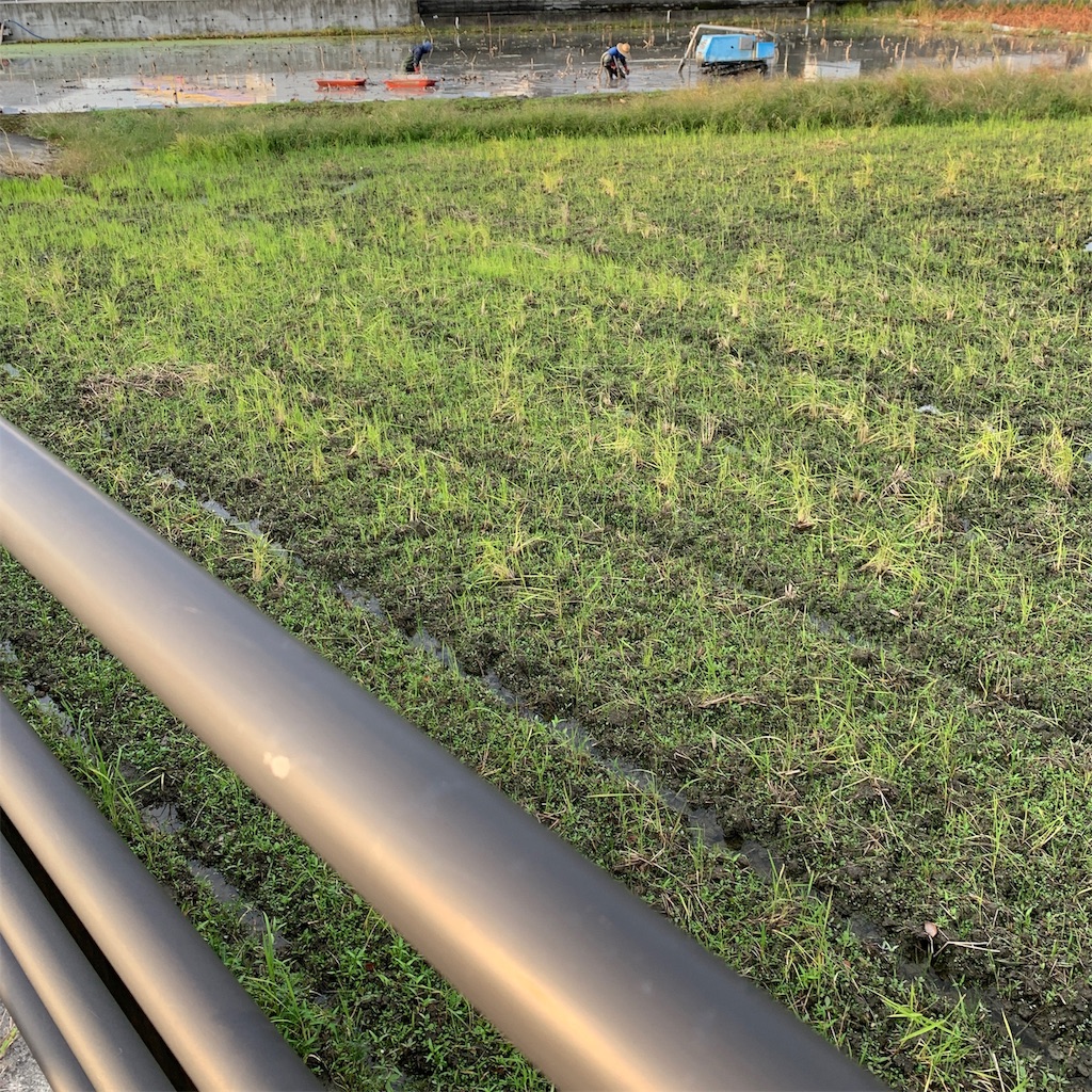 f:id:keikostyle:20191020071436j:image