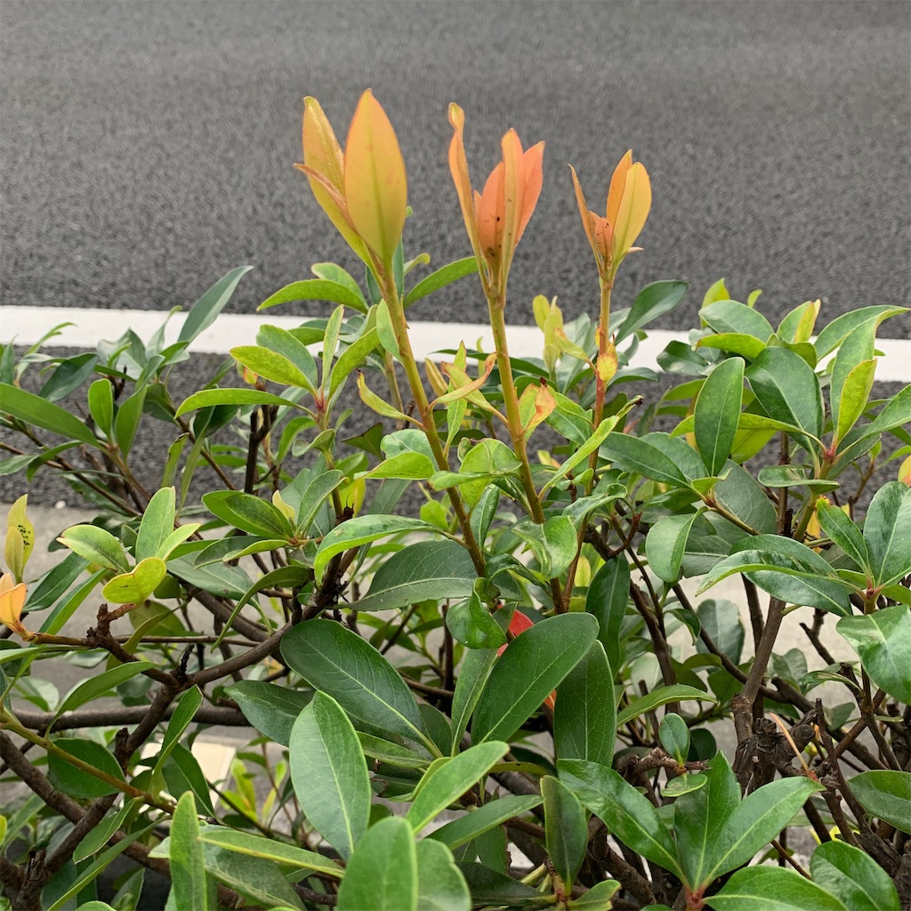 f:id:keikostyle:20191020071452j:image