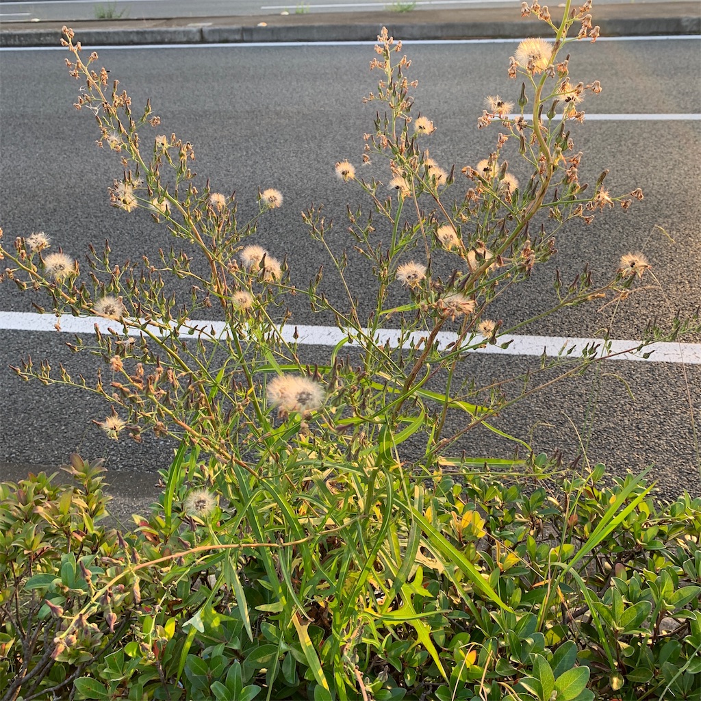 f:id:keikostyle:20191022071444j:image