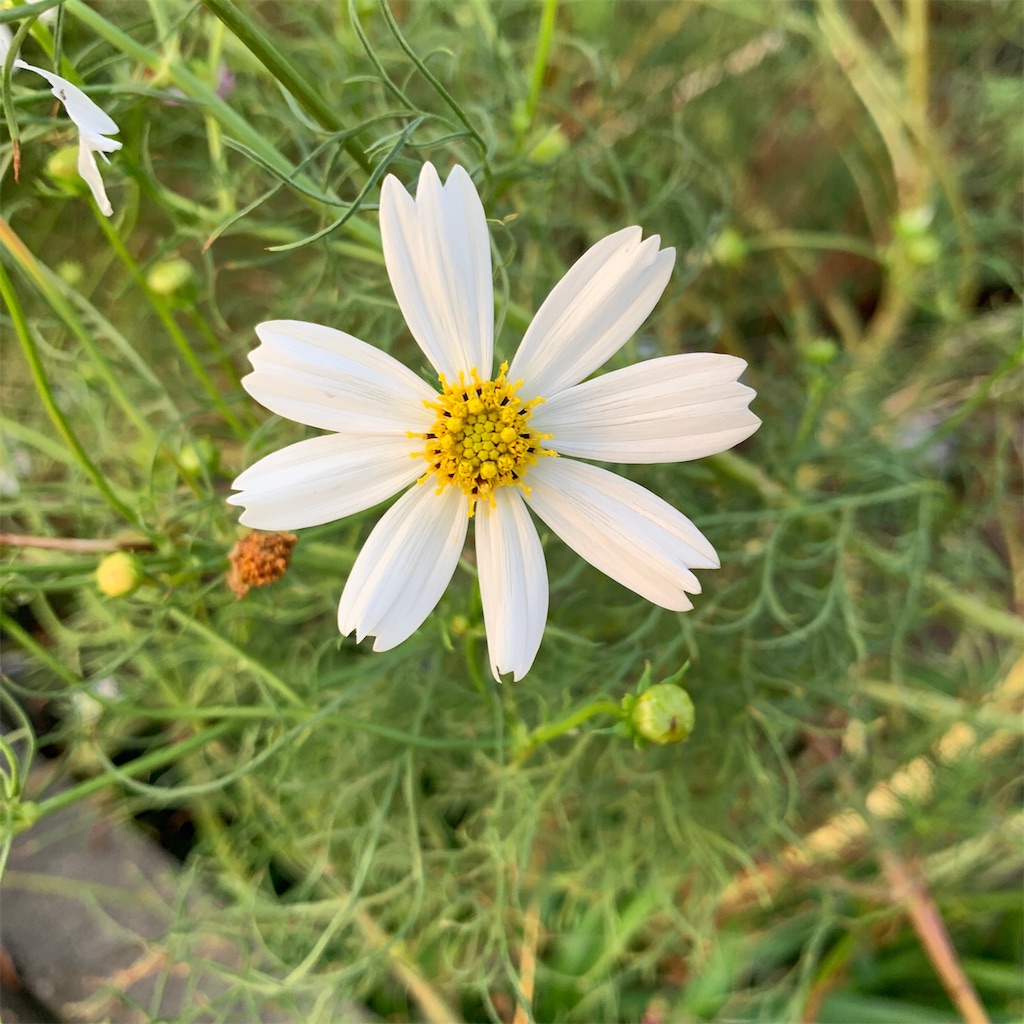f:id:keikostyle:20191022071458j:image