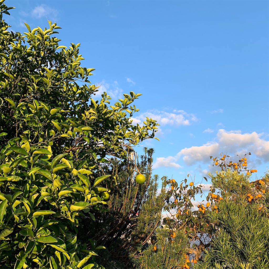 f:id:keikostyle:20191105071152j:image