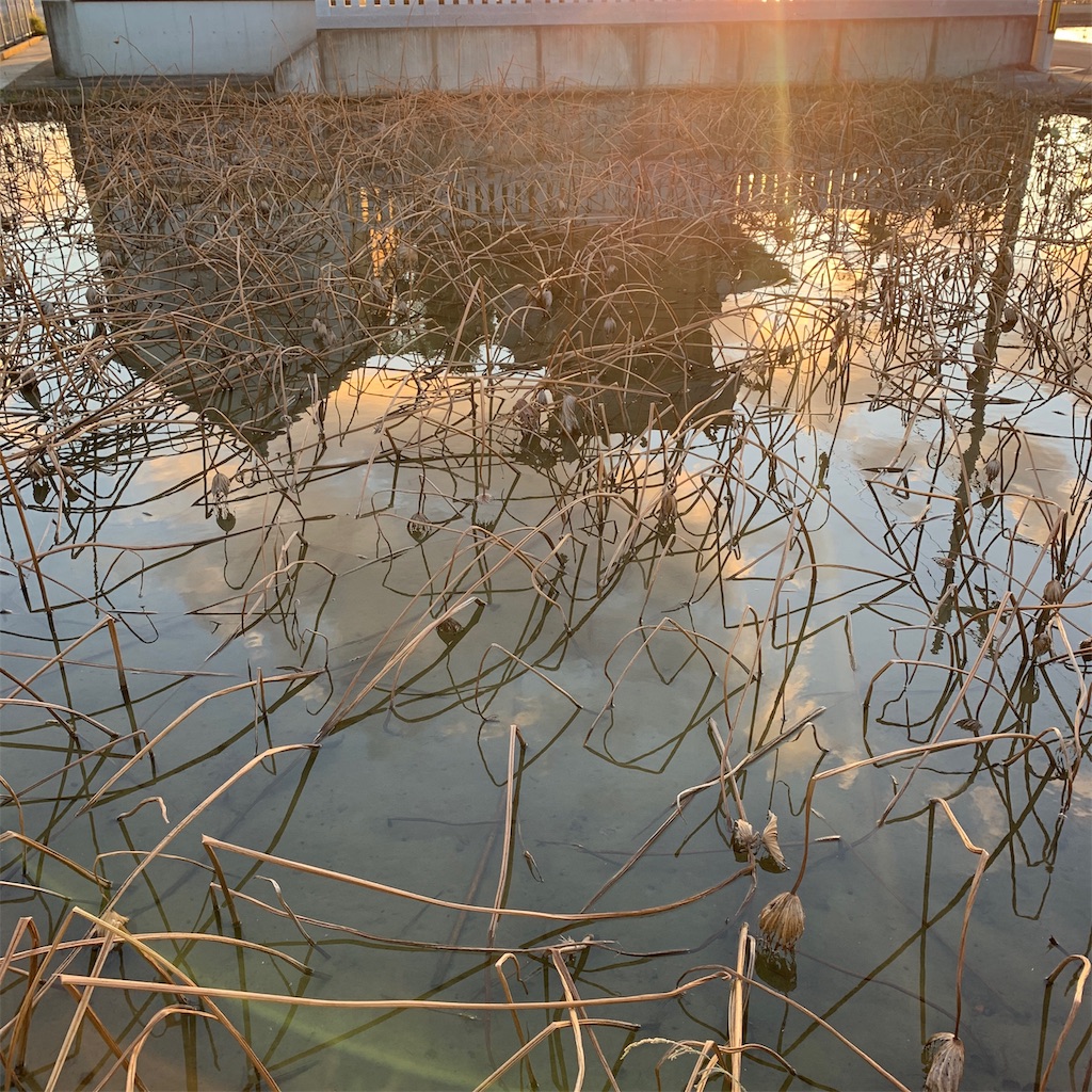 f:id:keikostyle:20191105071201j:image