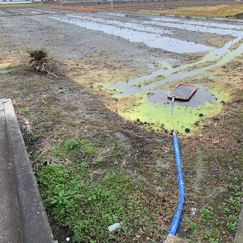 f:id:keikostyle:20191123071130j:image