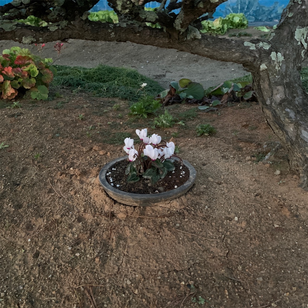 f:id:keikostyle:20200123205012j:image