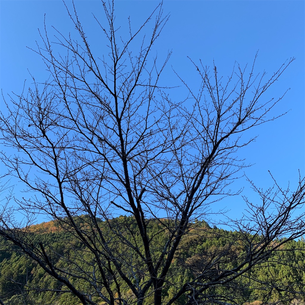 f:id:keikostyle:20200128215804j:image