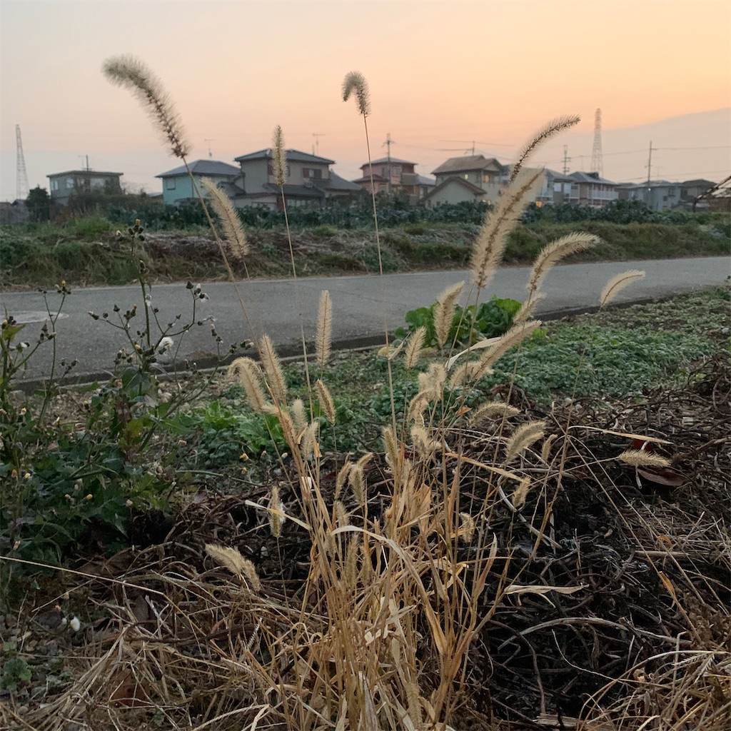 f:id:keikostyle:20200203071036j:image