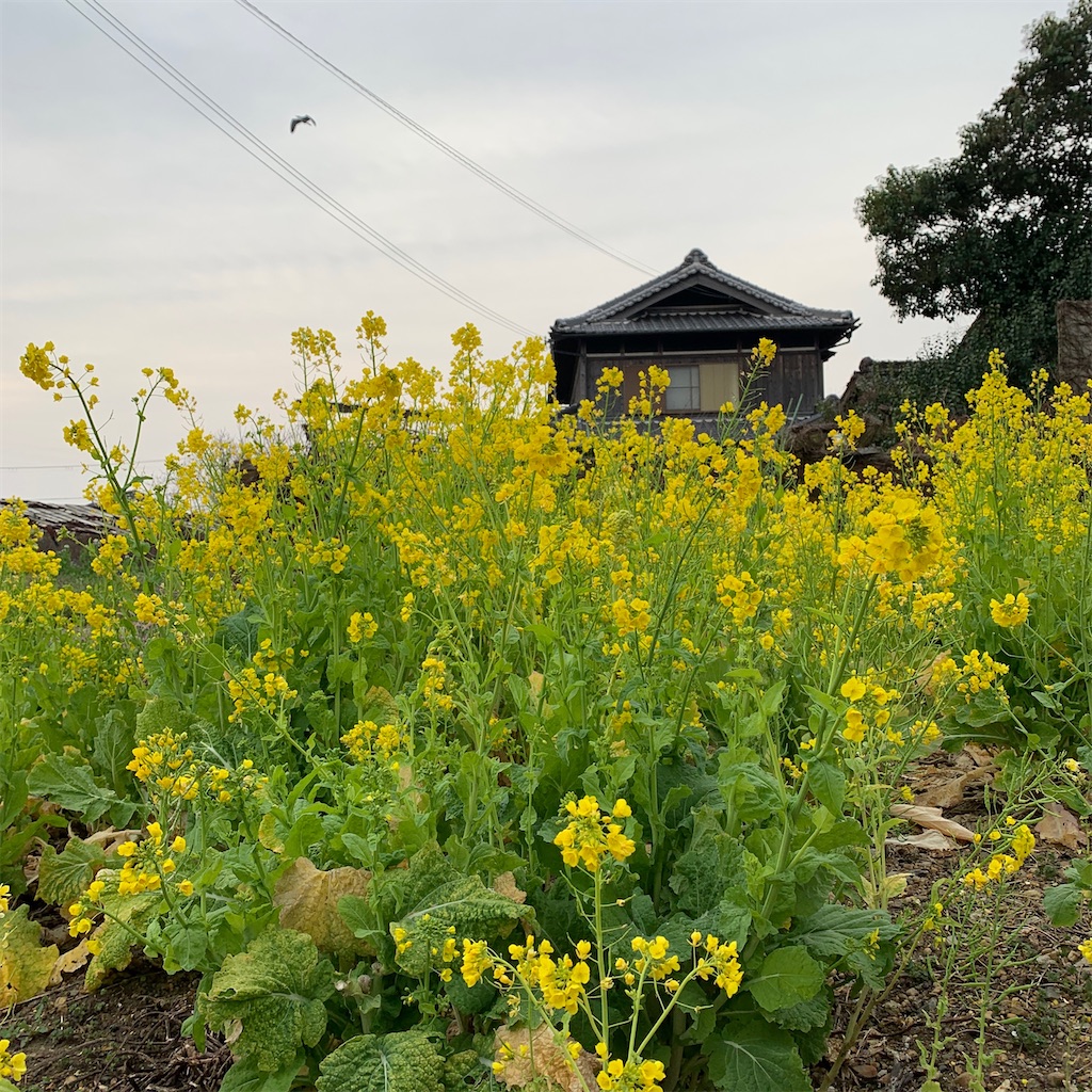 f:id:keikostyle:20200322072621j:image
