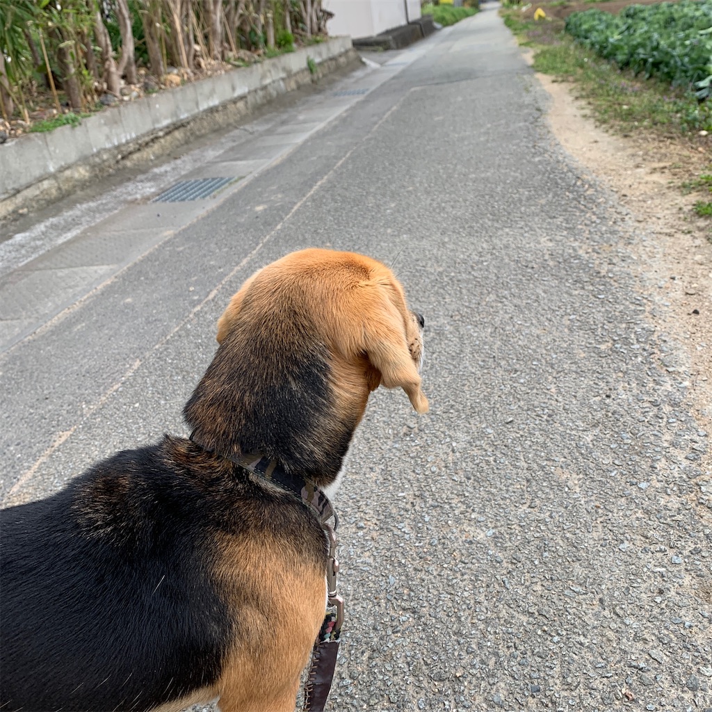 f:id:keikostyle:20200322072629j:image