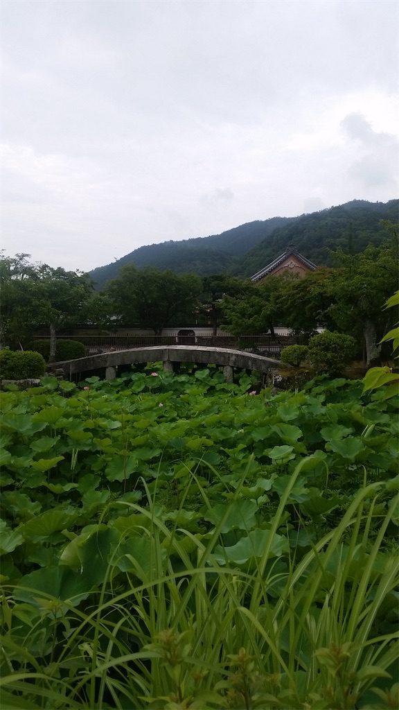 f:id:keikostyle:20200322165245j:image