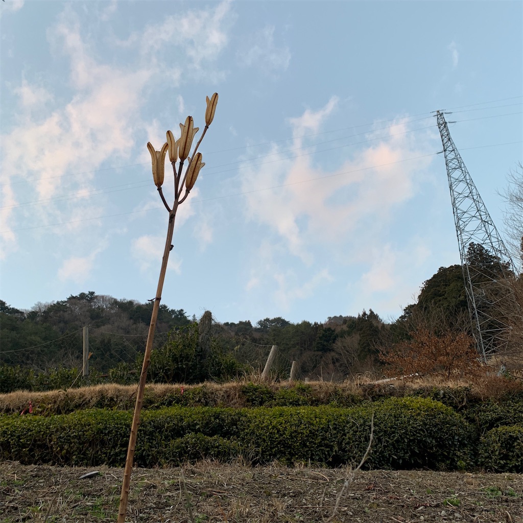 f:id:keikostyle:20200408065729j:image