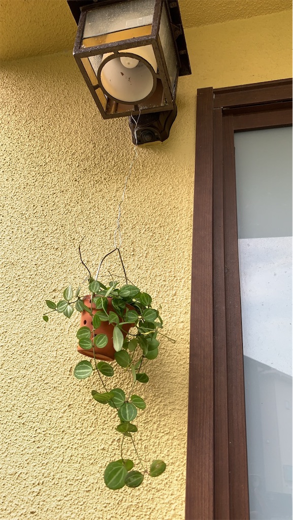 f:id:keikostyle:20200705185328j:image