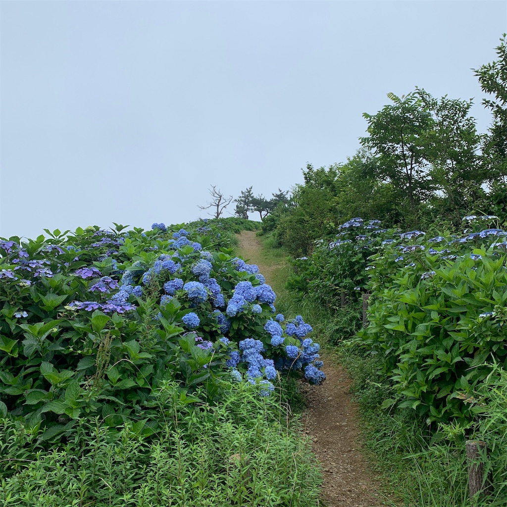 f:id:keikostyle:20200718010246j:image