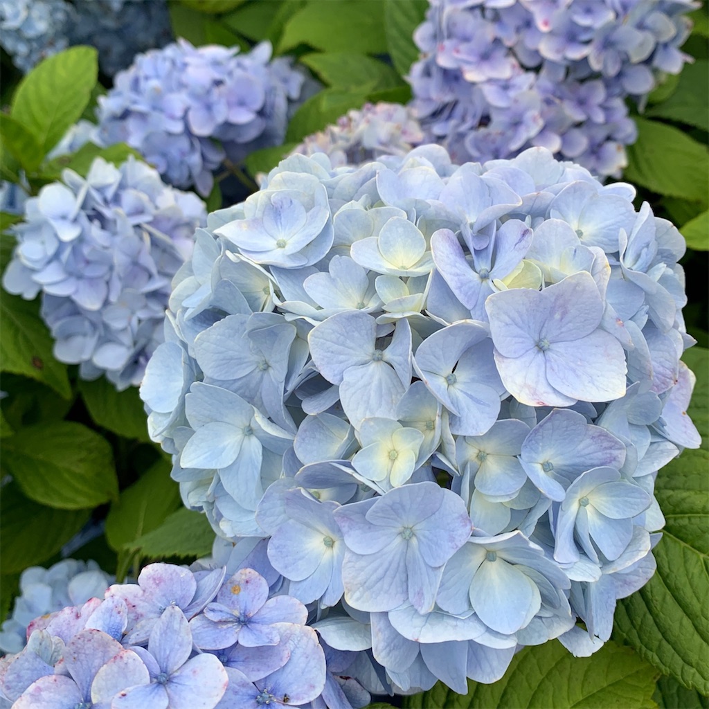 f:id:keikostyle:20200718010257j:image