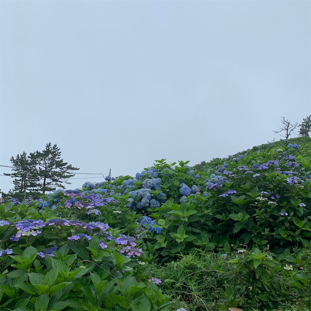 f:id:keikostyle:20200718010304j:image