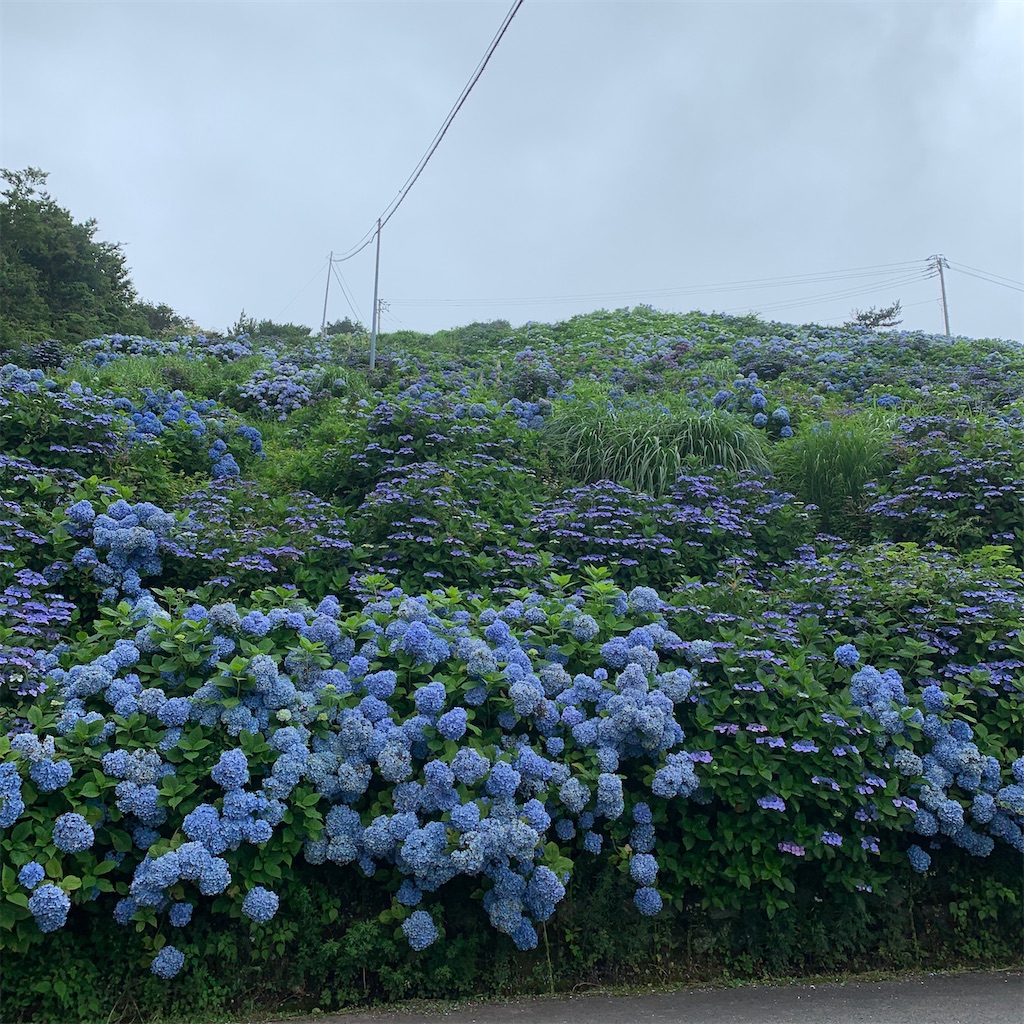 f:id:keikostyle:20200718010308j:image