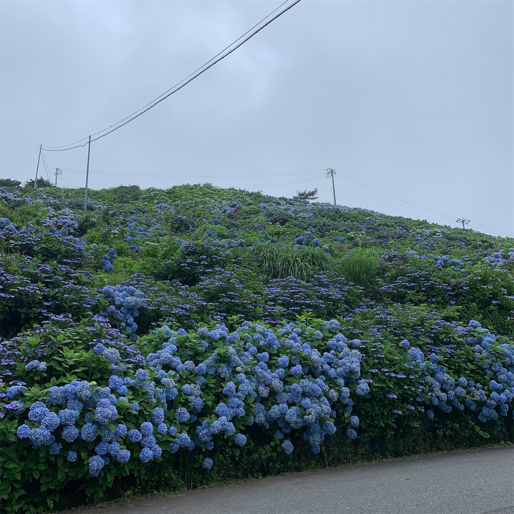f:id:keikostyle:20200718010316j:image