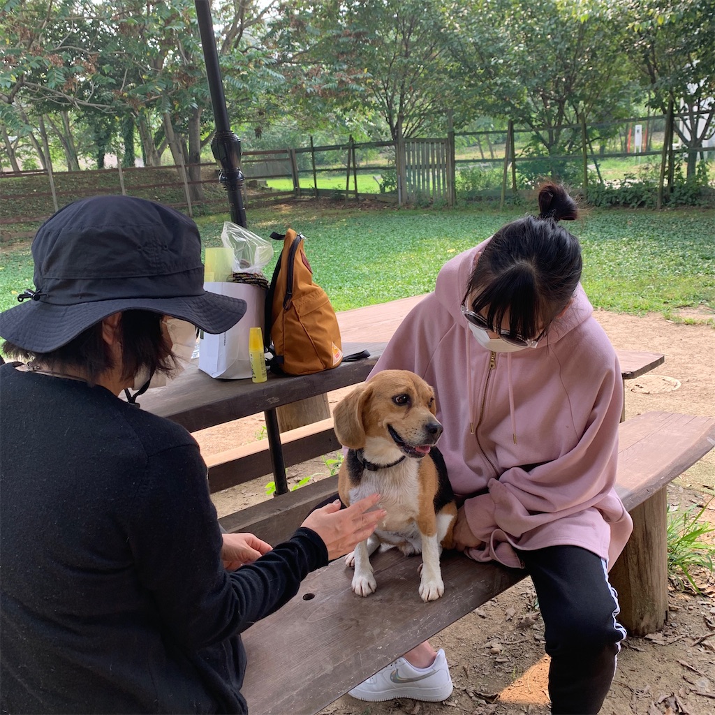f:id:keikostyle:20200808165622j:image
