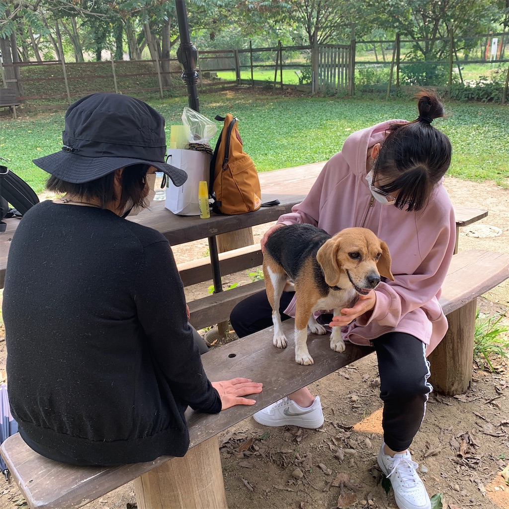 f:id:keikostyle:20200808165630j:image